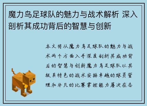 魔力鸟足球队的魅力与战术解析 深入剖析其成功背后的智慧与创新